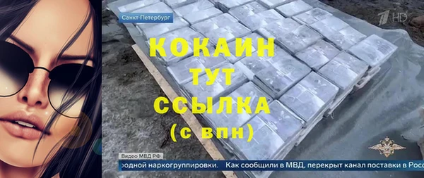 Альфа ПВП Няндома